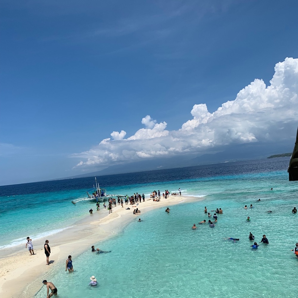 Meet your Posher, Adrea